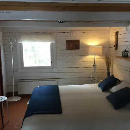 Iisakki Village Hotel *